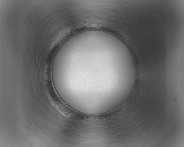 X0000077990738200610270946