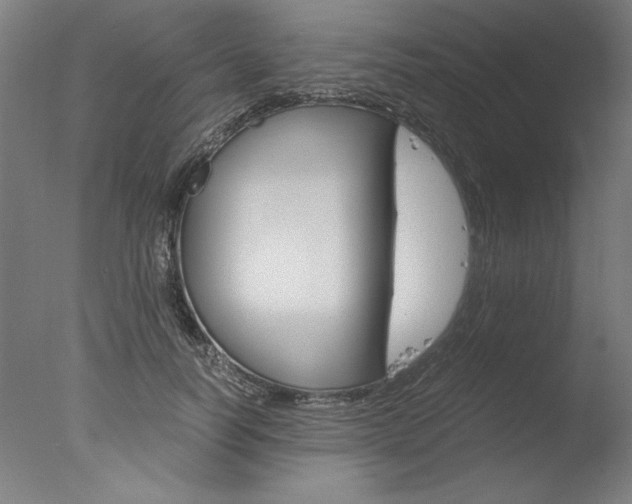 X0000077990746200610270946