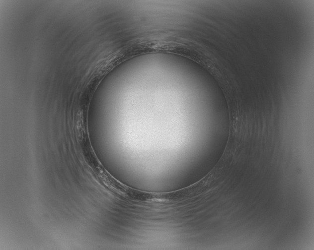 X0000077990748200610270946