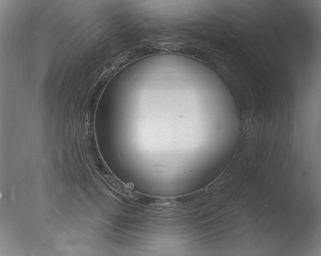 X0000077990752200610270946