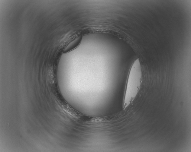 X0000077990764200610270946