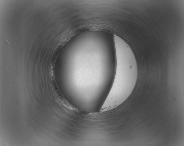 X0000077990766200610270947