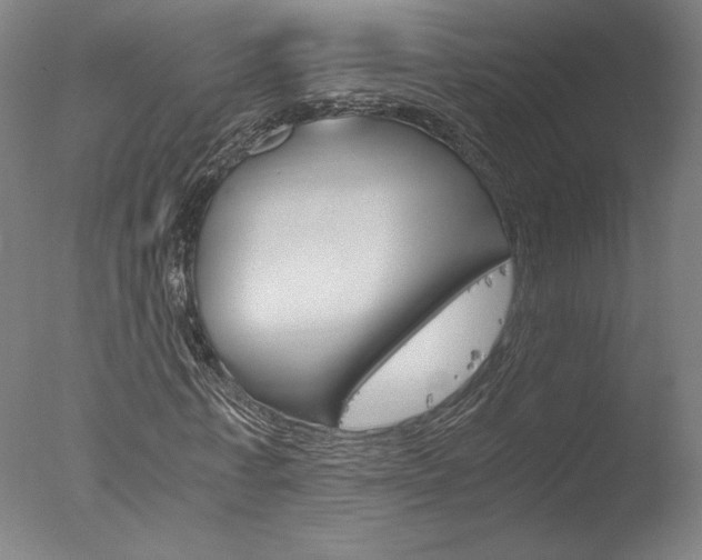X0000077990771200610270946