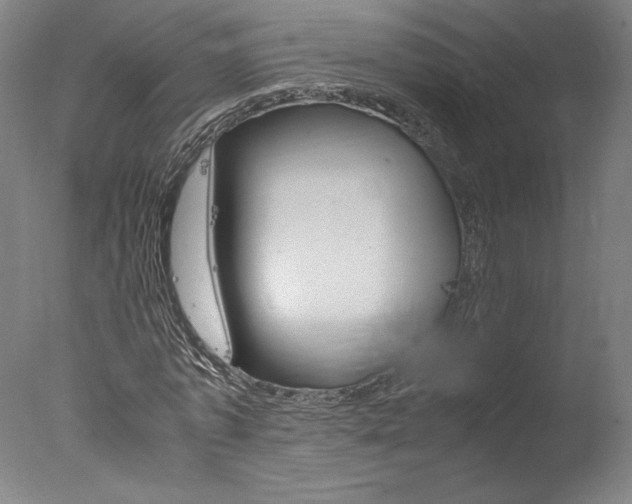 X0000077990773200610270946