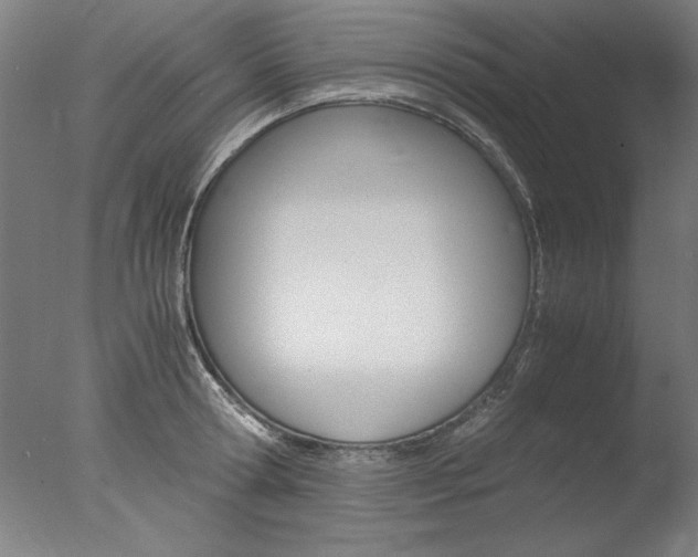 X0000077990802200610270945