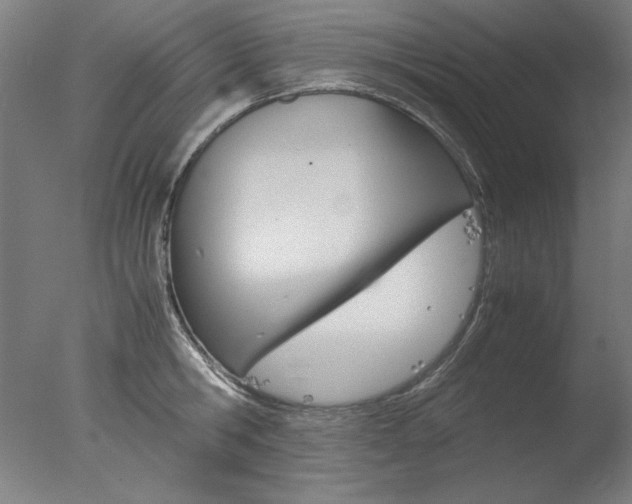 X0000077990806200610270945