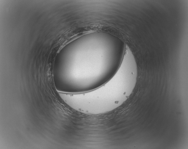 X0000077990818200610270944