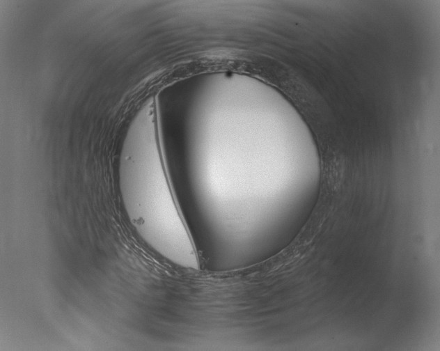 X0000077990821200610270944
