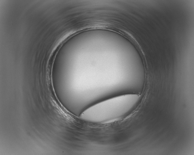 X0000077990835200610270944