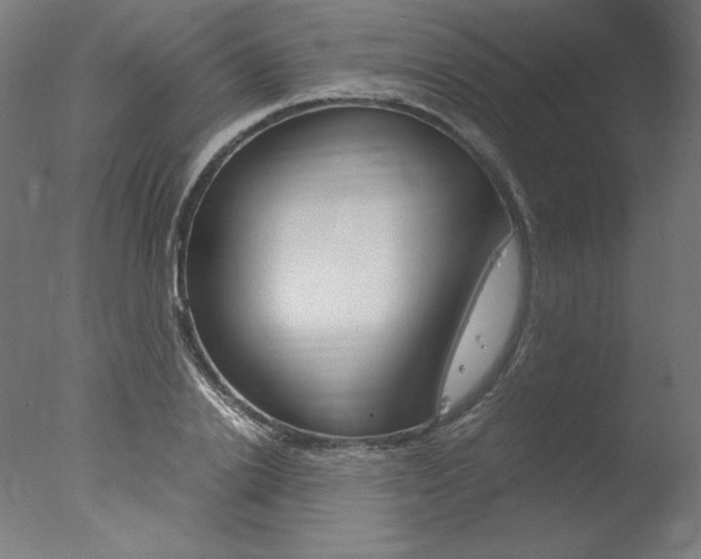 X0000077990838200610270945