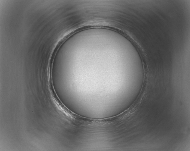 X0000077990840200610270945
