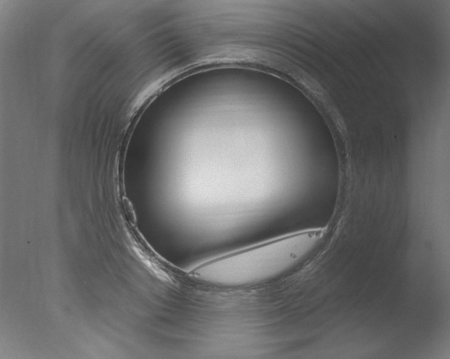 X0000077990842200610270945