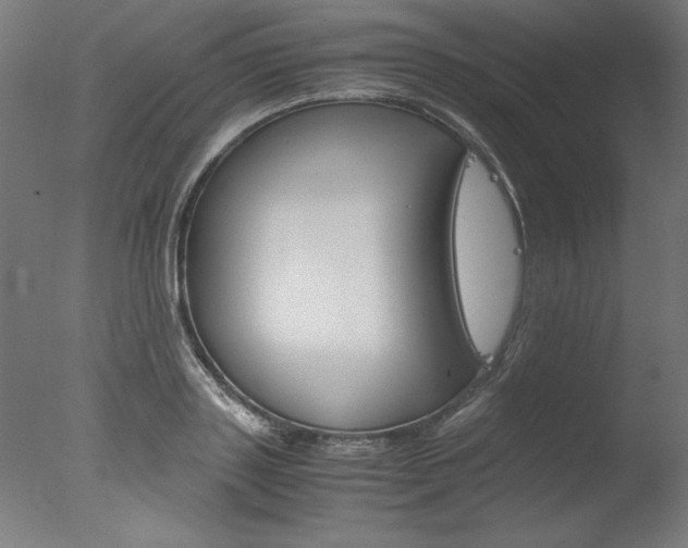 X0000077990843200610270945