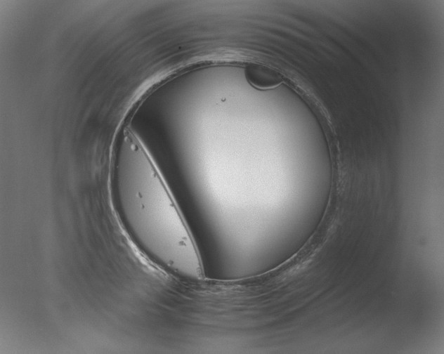 X0000077990845200610270945