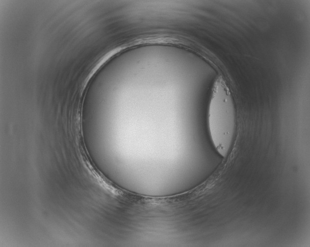 X0000077990852200610270945