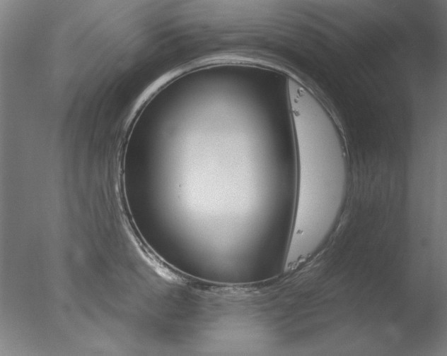 X0000077990862200610270945