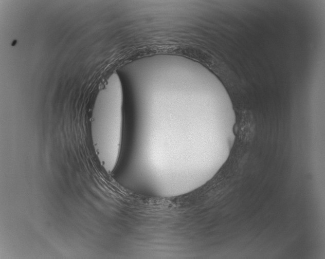 X0000077990866200610270944