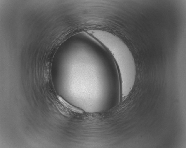 X0000077990868200610270944