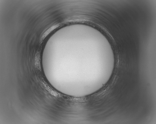 X0000077990874200610270944