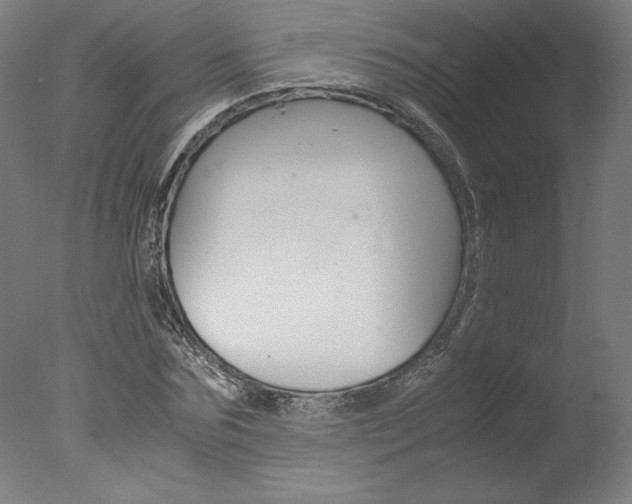 X0000077990875200610270944