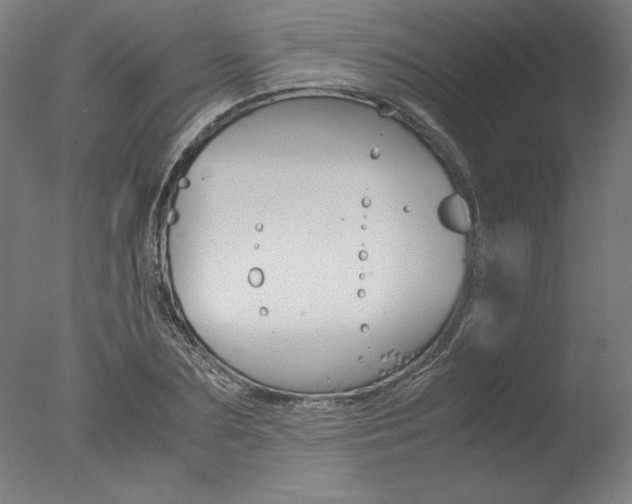 X0000077990883200610270944