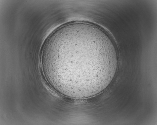 X0000077990887200610270944