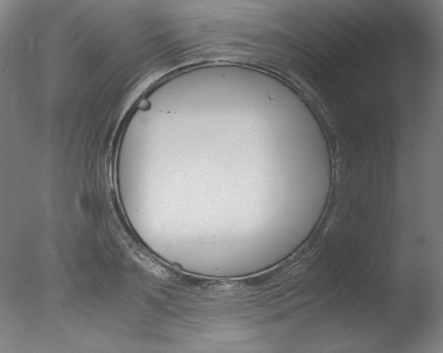 X0000077990891200610270944