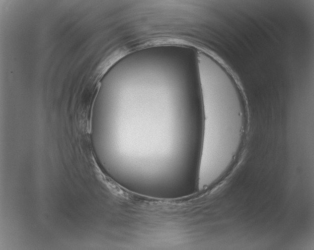 X0000077990905200610270943