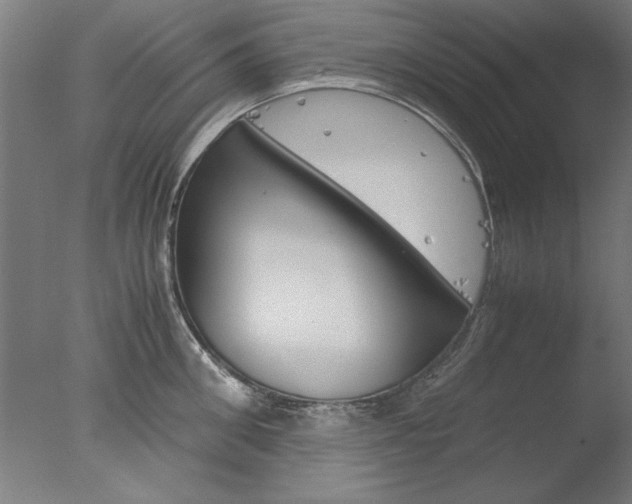 X0000077990906200610270943