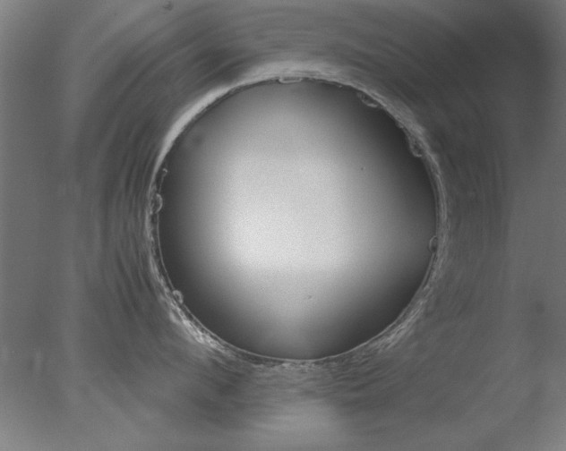 X0000077990912200610270943