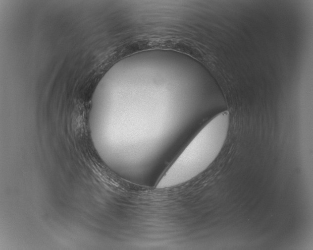 X0000077990914200610270943