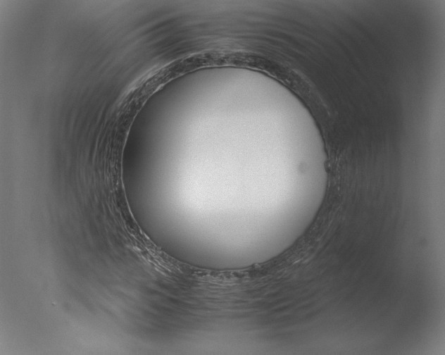 X0000077990919200610270943