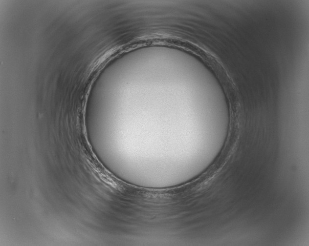 X0000077990921200610270943