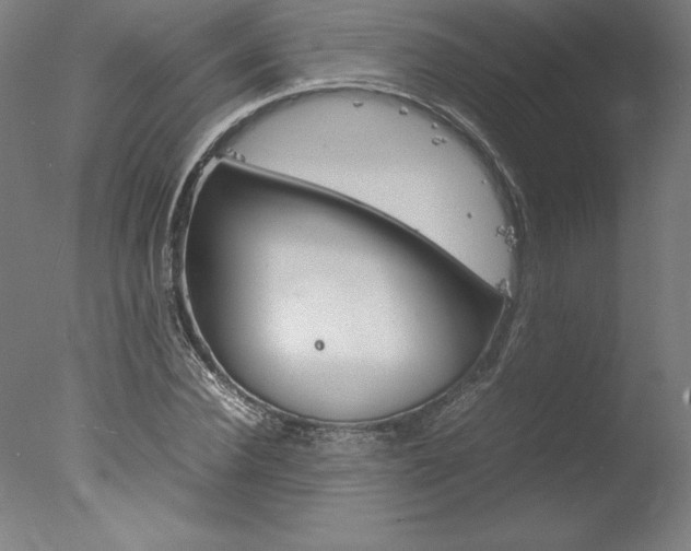 X0000077990924200610270943