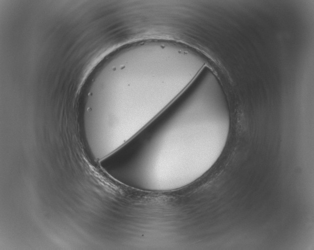 X0000077990926200610270943