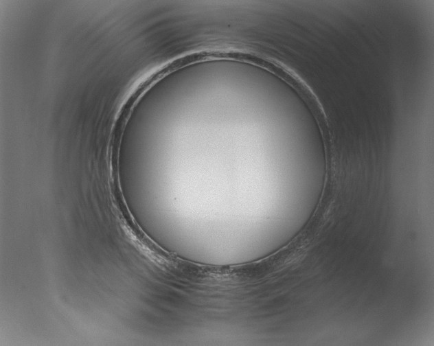 X0000077990935200610270943