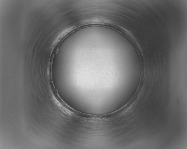 X0000077990938200610270943