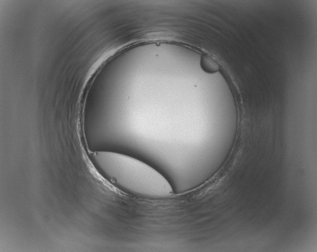 X0000077990941200610270943