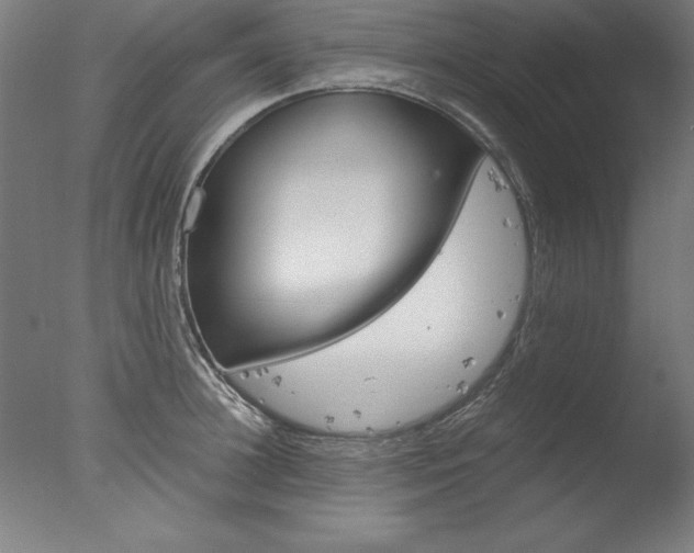 X0000077990948200610270943