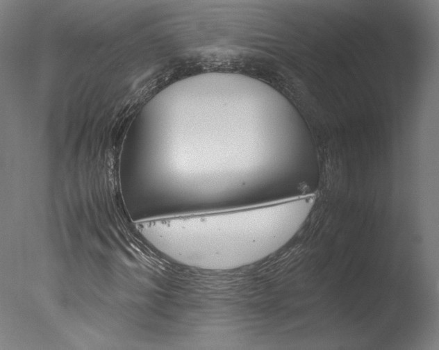 X0000077990964200610270942