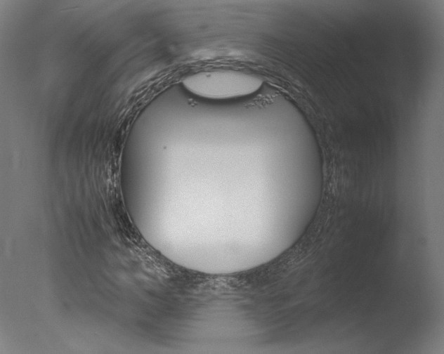 X0000077990966200610270942