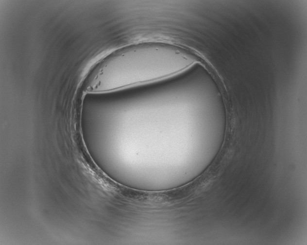 X0000077990979200610270942