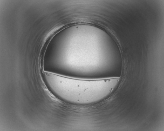 X0000077990987200610270942