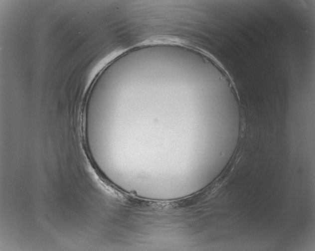 X0000077991003200610270942