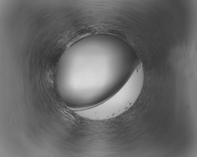 X0000077991010200610270941