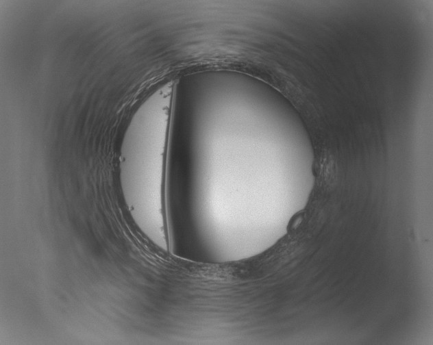 X0000077991012200610270941