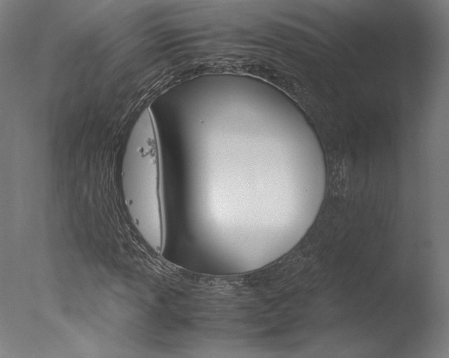 X0000077991013200610270941