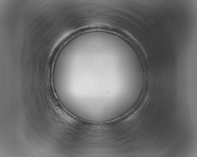 X0000077991021200610270941