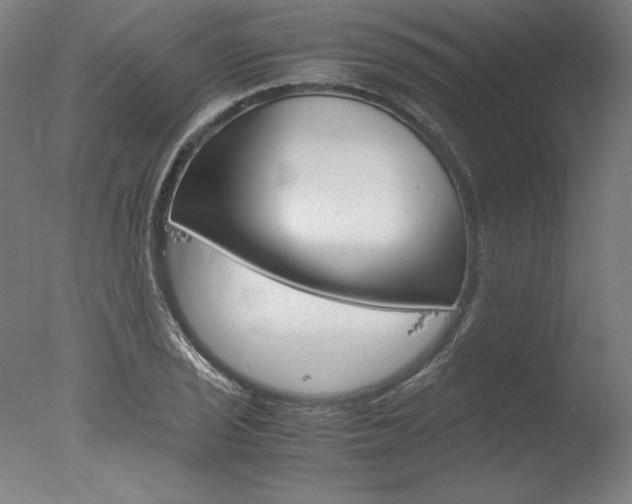 X0000077991029200610270941