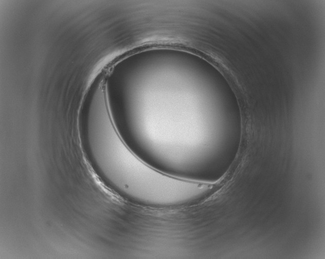 X0000077991030200610270941
